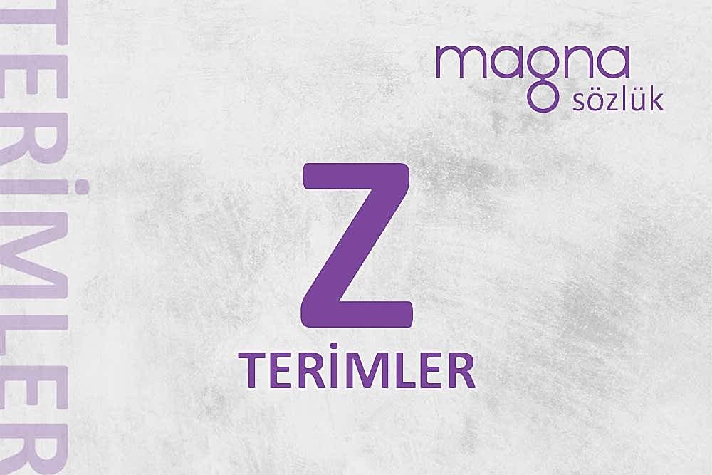 Dijital Pazarlama Terimleri – “Z” Harfi İle Başlayan Terimler