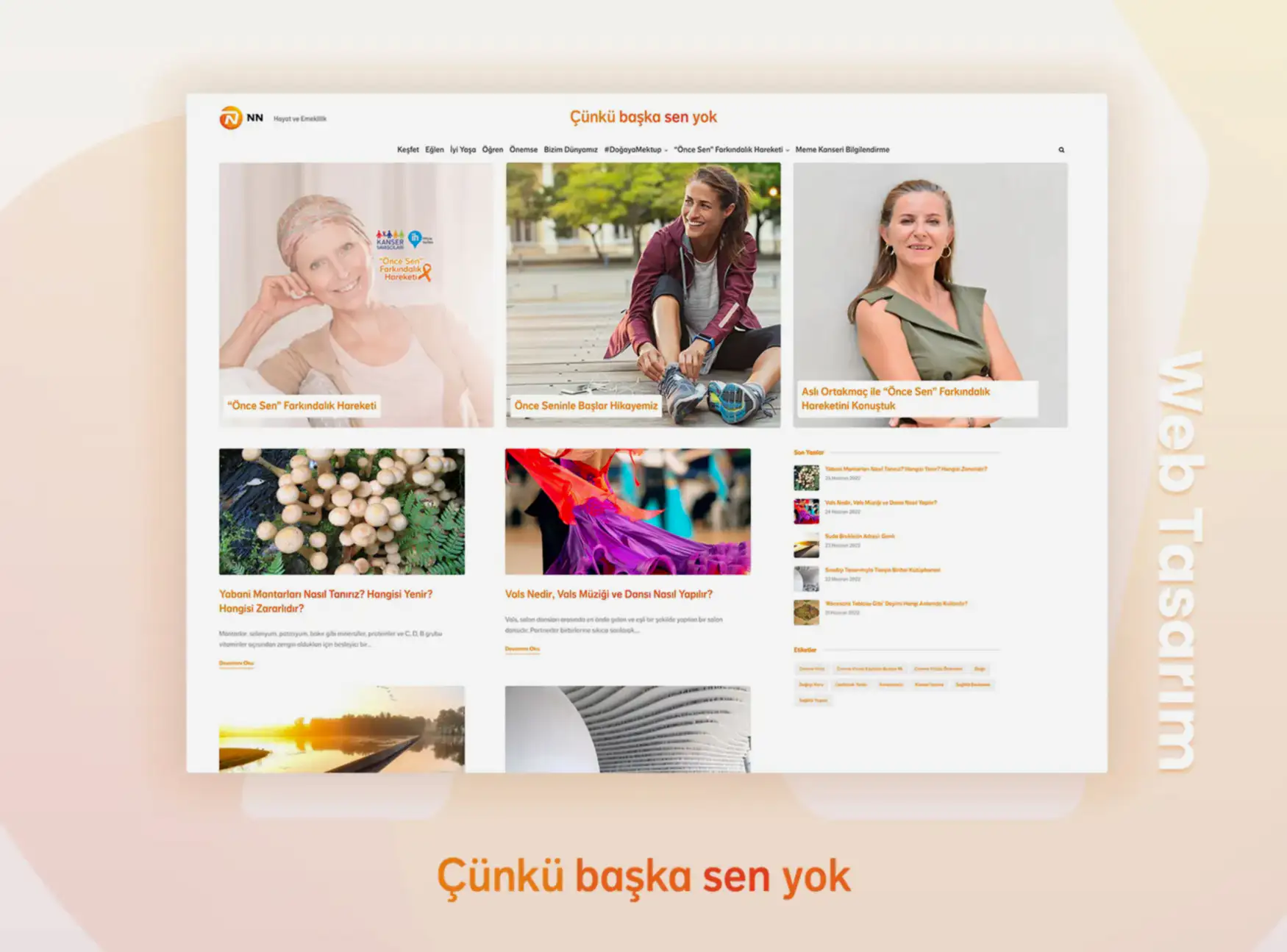 NN Hayat ve Emeklilik - Web Projesi