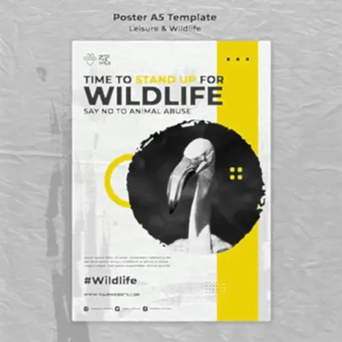 poster and banner design