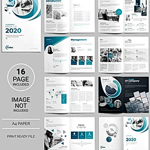 brochure and flyer design