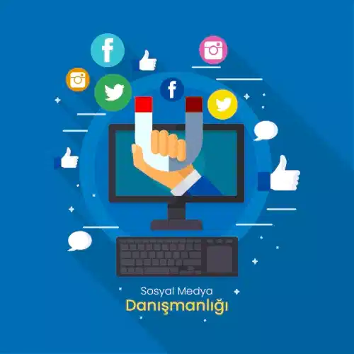 Social Media Consultancy