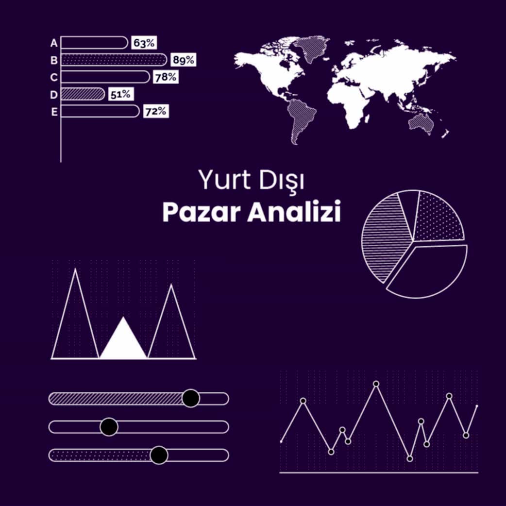 Data-Driven Global Market Analysis and Digital Expansion Strategies