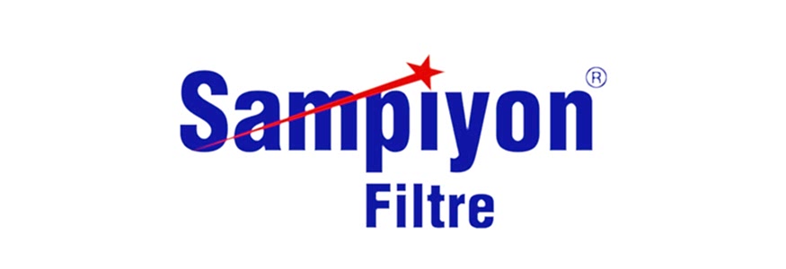 Şampiyon Filtre için uluslararası SEO ve organik büyüme başarı hikâyesi görseli