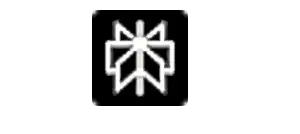 Perplexity Logo